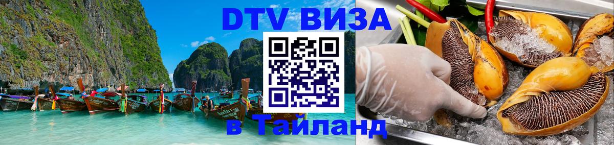 Оформление DTV визы под ключ: стоимость и тарифы, только загранпаспорт - Сан-Сальвадор 